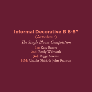 Informal Decorative B 6 Amateur